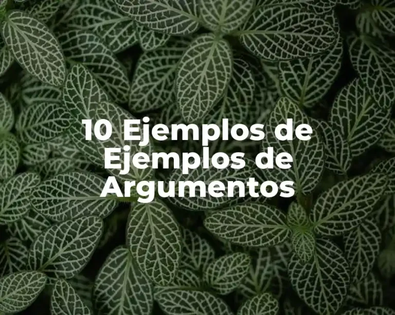 10 Ejemplos de Ejemplos de Argumentos