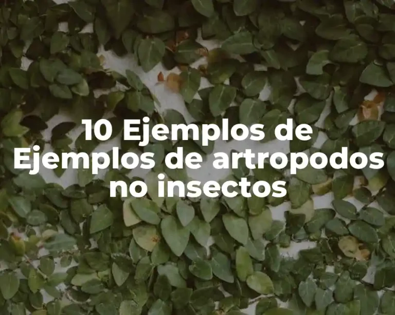10 Ejemplos de Ejemplos de artropodos no insectos