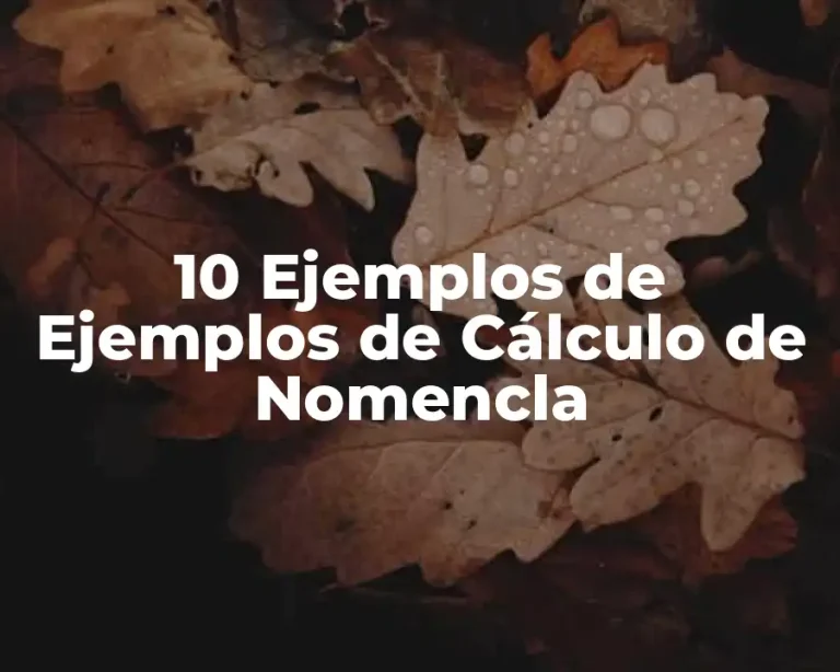 10 Ejemplos de Ejemplos de Cálculo de Nomencla