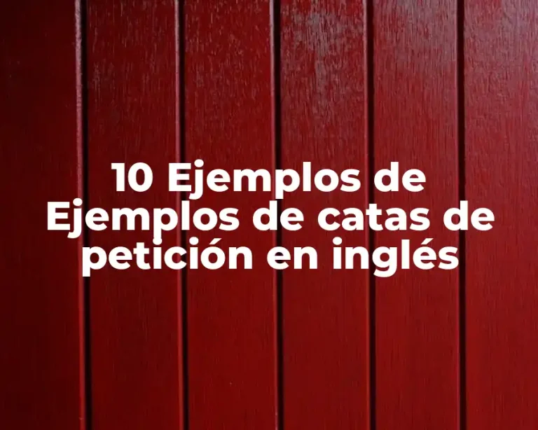 10 Ejemplos de Ejemplos de catas de petición en inglés