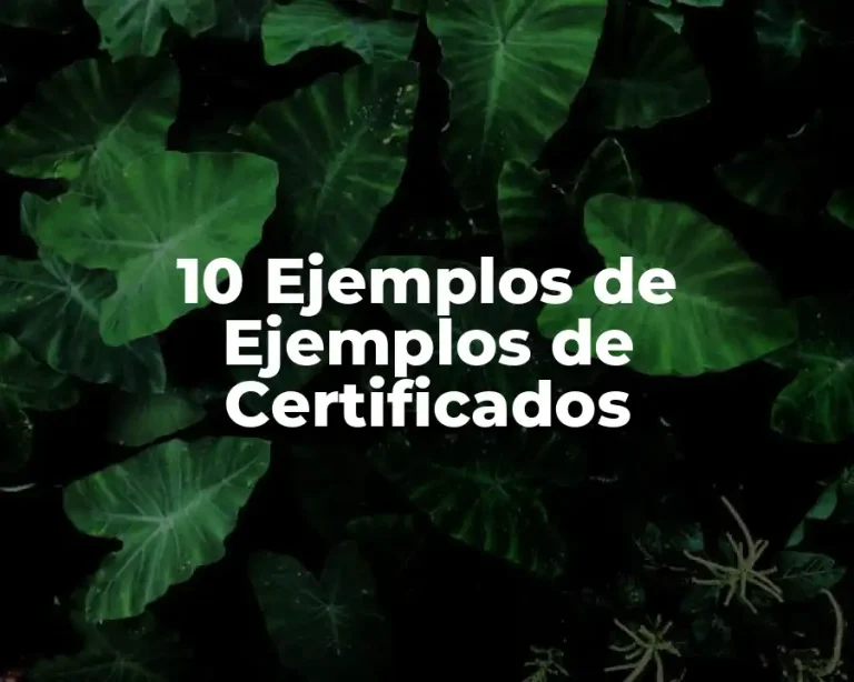 10 Ejemplos de Ejemplos de Certificados