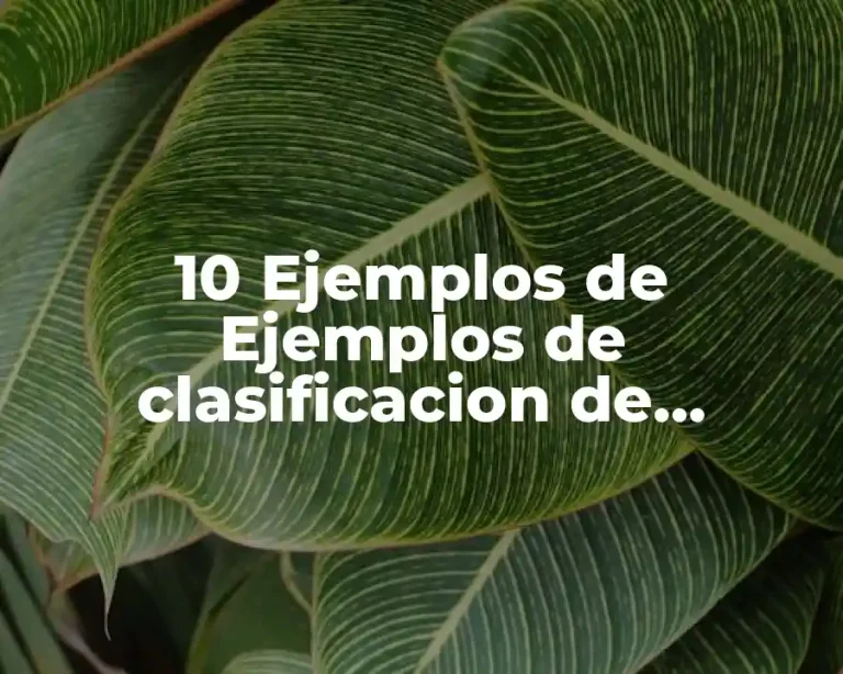 10 Ejemplos de Ejemplos de clasificacion de compuestos quimicos