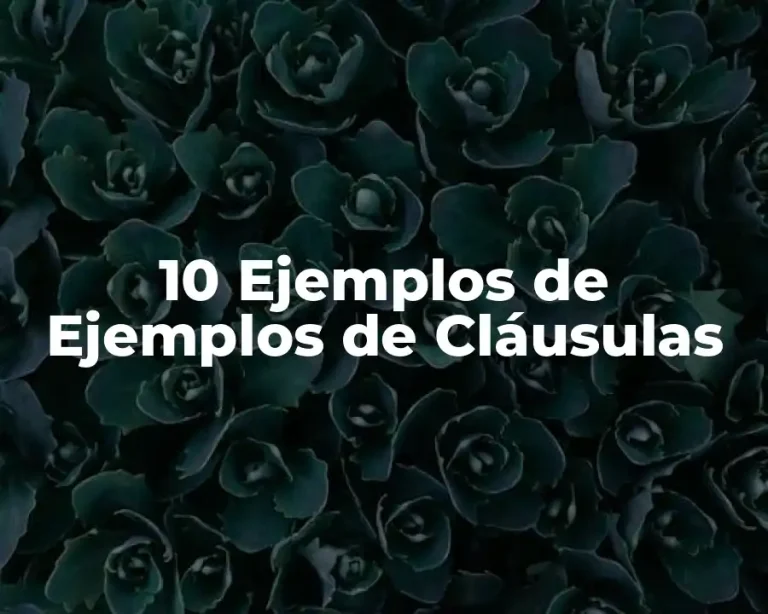 10 Ejemplos de Ejemplos de Cláusulas