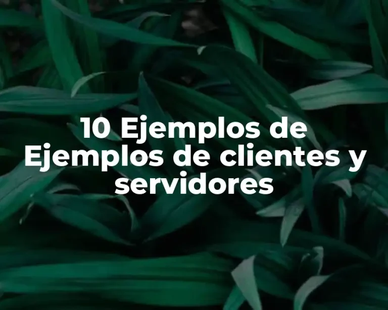 10 Ejemplos de Ejemplos de clientes y servidores