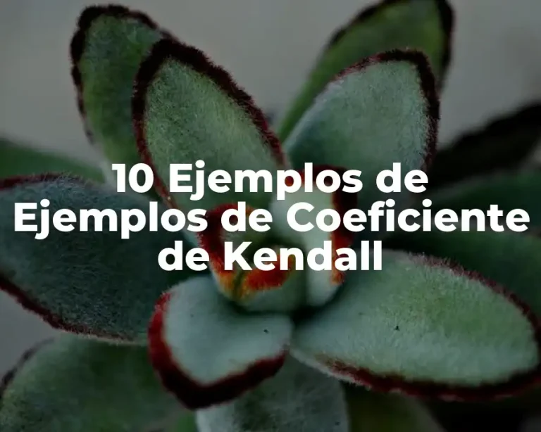 10 Ejemplos de Ejemplos de Coeficiente de Kendall