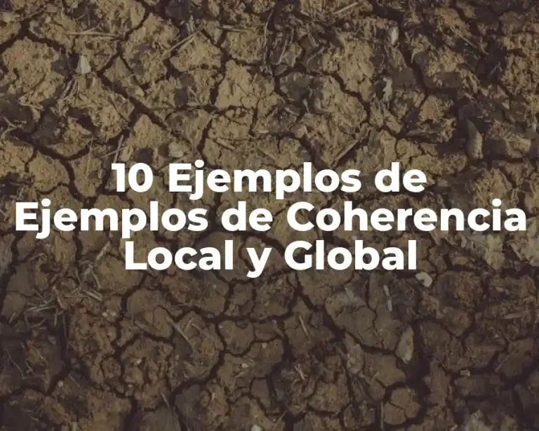 10 Ejemplos de Ejemplos de Coherencia Local y Global