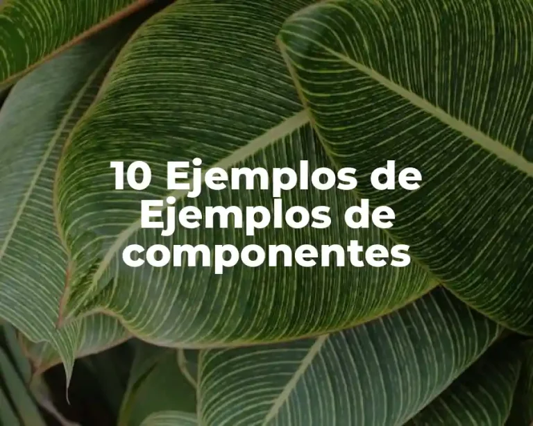 10 Ejemplos de Ejemplos de componentes