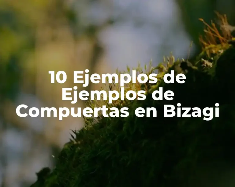 10 Ejemplos de Ejemplos de Compuertas en Bizagi