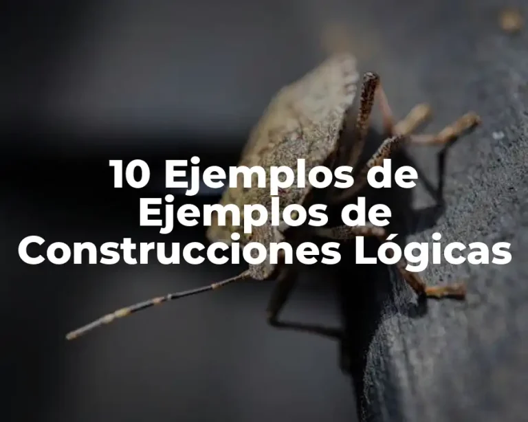 10 Ejemplos de Ejemplos de Construcciones Lógicas