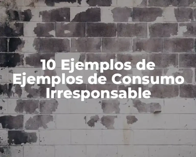 10 Ejemplos de Ejemplos de Consumo Irresponsable