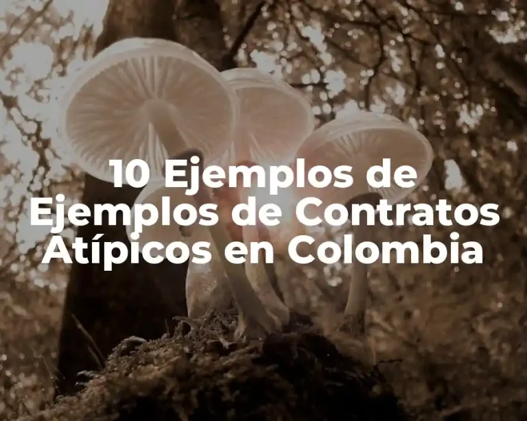 10 Ejemplos de Ejemplos de Contratos Atípicos en Colombia