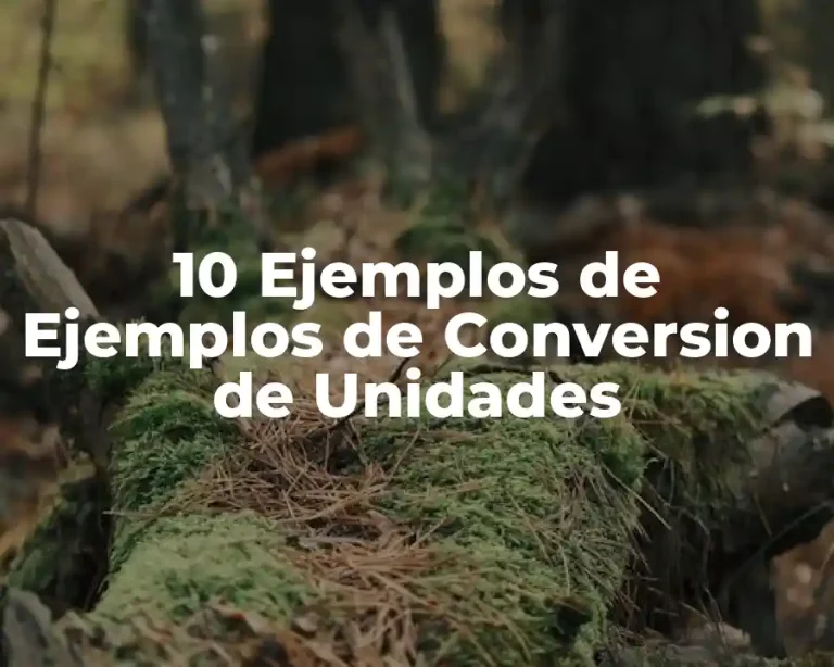 10 Ejemplos de Ejemplos de Conversion de Unidades