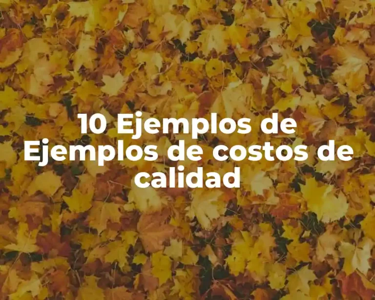 10 Ejemplos de Ejemplos de costos de calidad