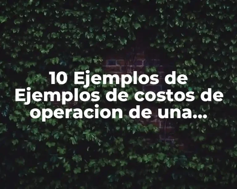 10 Ejemplos de Ejemplos de costos de operacion de una empresa de software