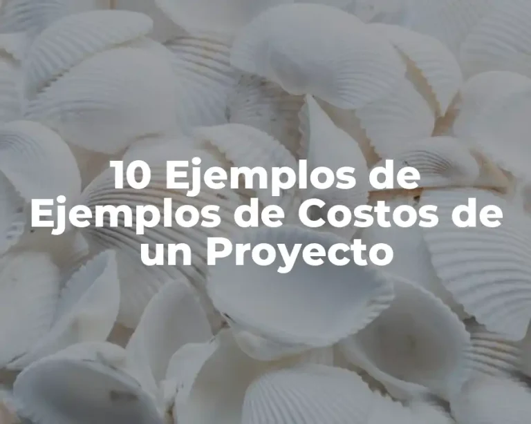 10 Ejemplos de Ejemplos de Costos de un Proyecto