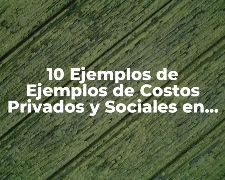 10 Ejemplos de Ejemplos de Costos Privados y Sociales en Educación