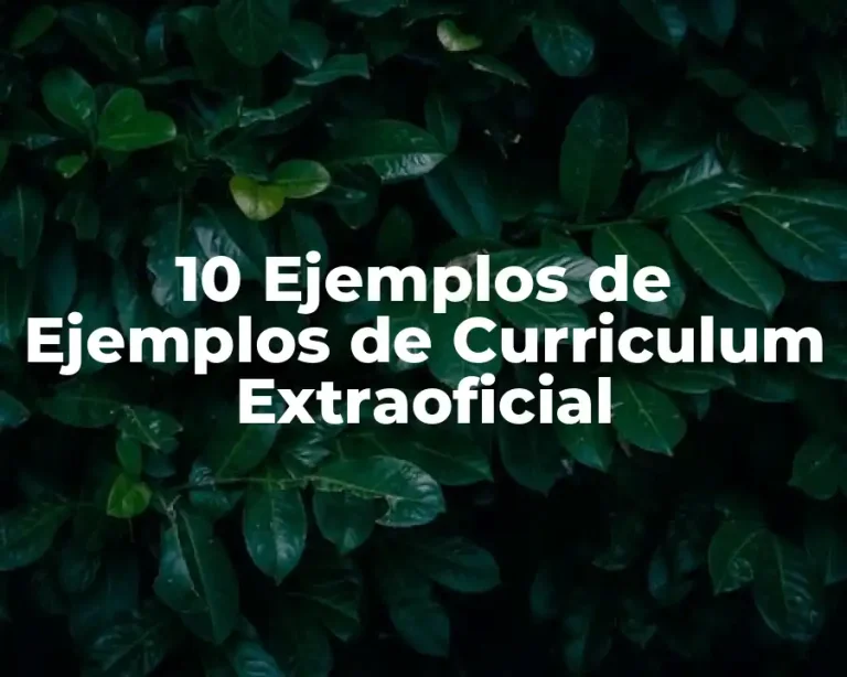 10 Ejemplos de Ejemplos de Curriculum Extraoficial