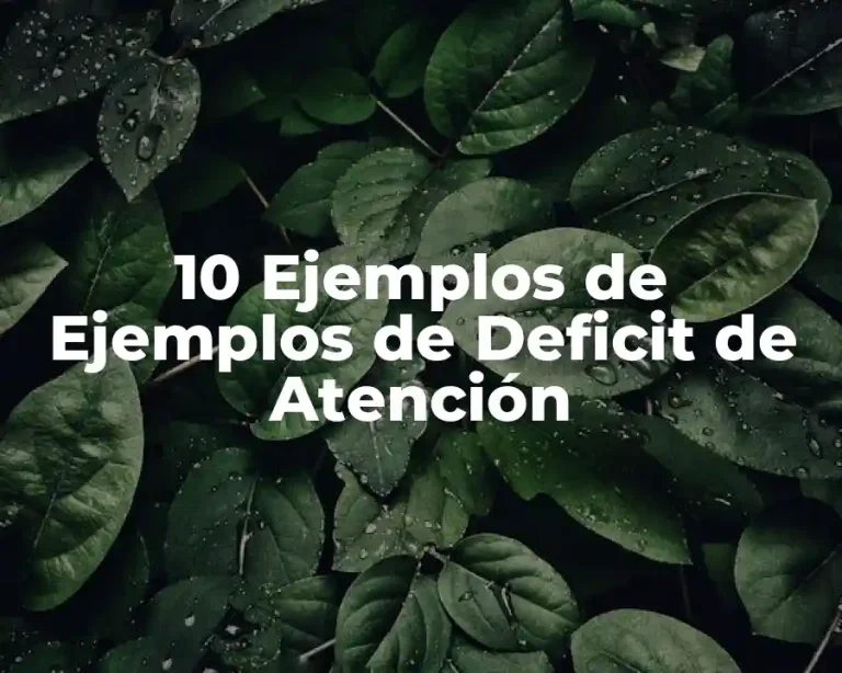 10 Ejemplos de Ejemplos de Deficit de Atención