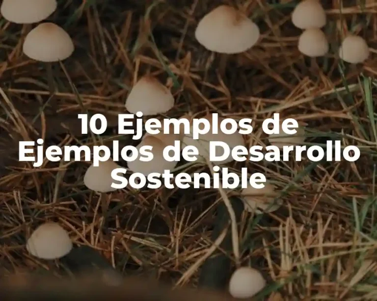 10 Ejemplos de Ejemplos de Desarrollo Sostenible