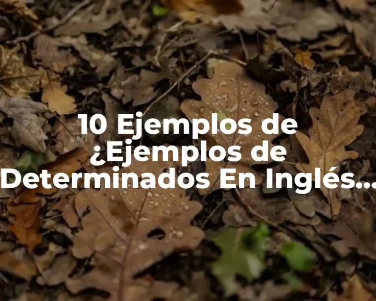 10 Ejemplos de ¿Ejemplos de Determinados En Inglés y Español?