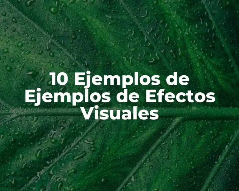 10 Ejemplos de Ejemplos de Efectos Visuales