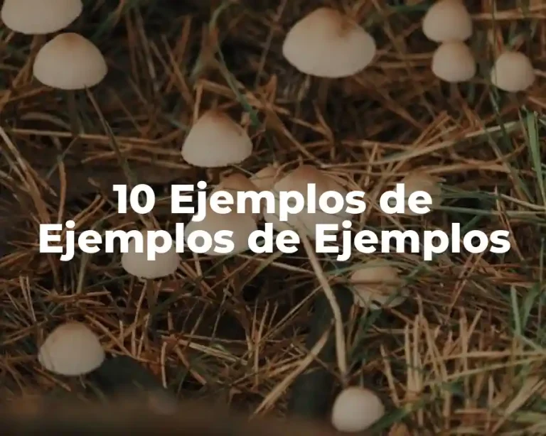 10 Ejemplos de Ejemplos de Ejemplos