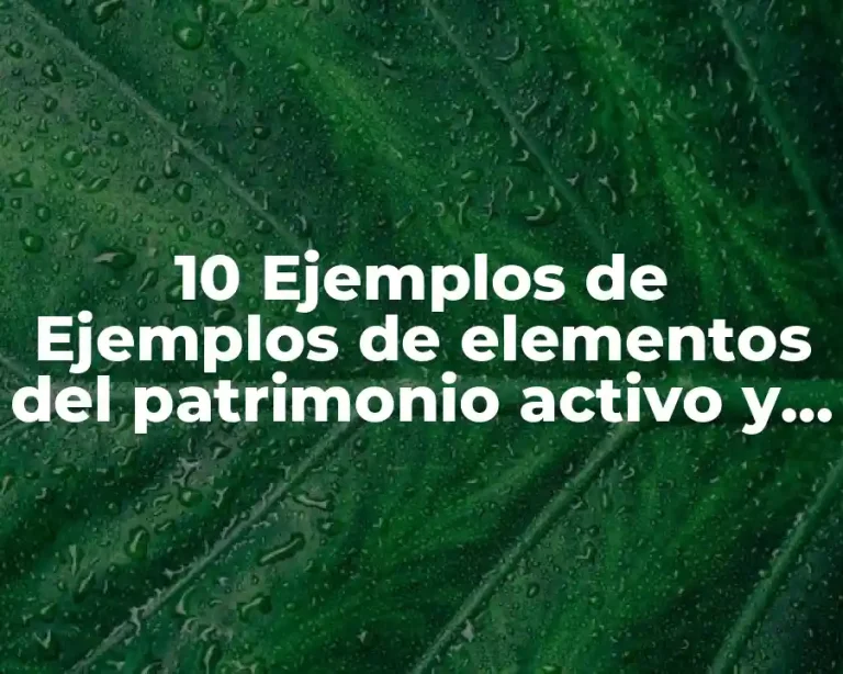 10 Ejemplos de Ejemplos de elementos del patrimonio activo y pasivo