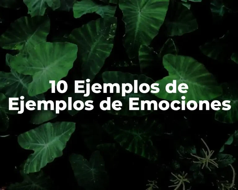 10 Ejemplos de Ejemplos de Emociones