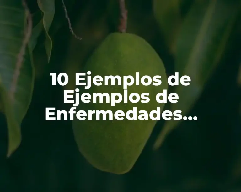 10 Ejemplos de Ejemplos de Enfermedades Respiratorias