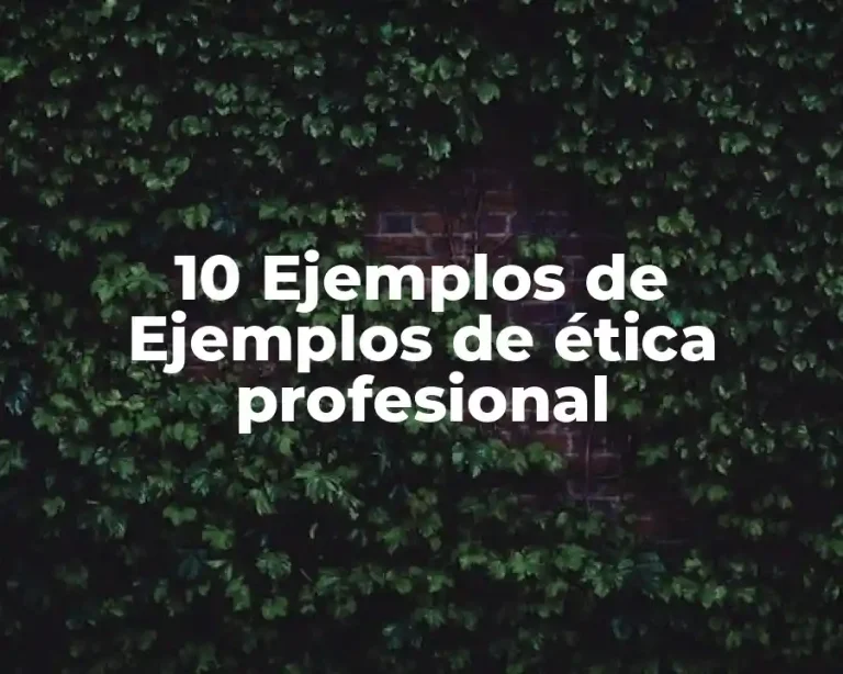 10 Ejemplos de Ejemplos de ética profesional