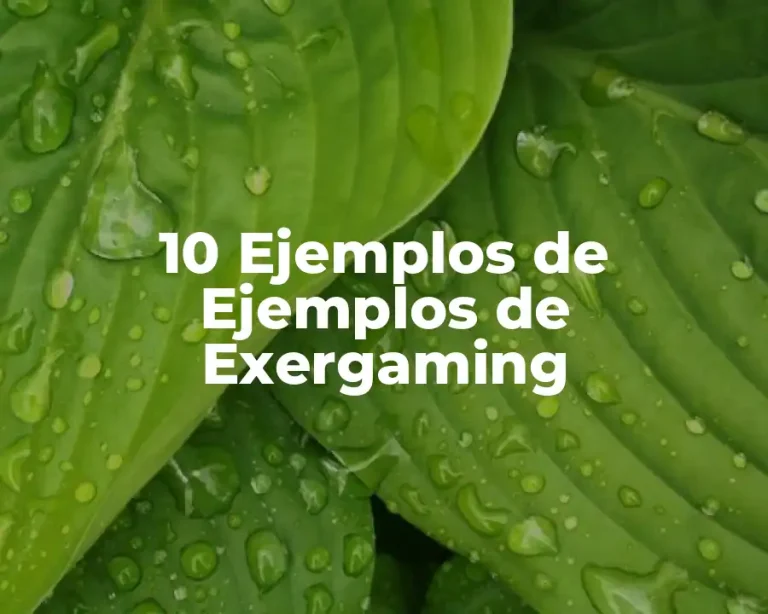 10 Ejemplos de Ejemplos de Exergaming