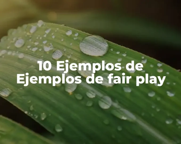 10 Ejemplos de Ejemplos de fair play