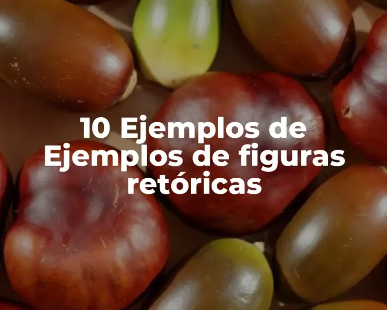 10 Ejemplos de Ejemplos de figuras retóricas