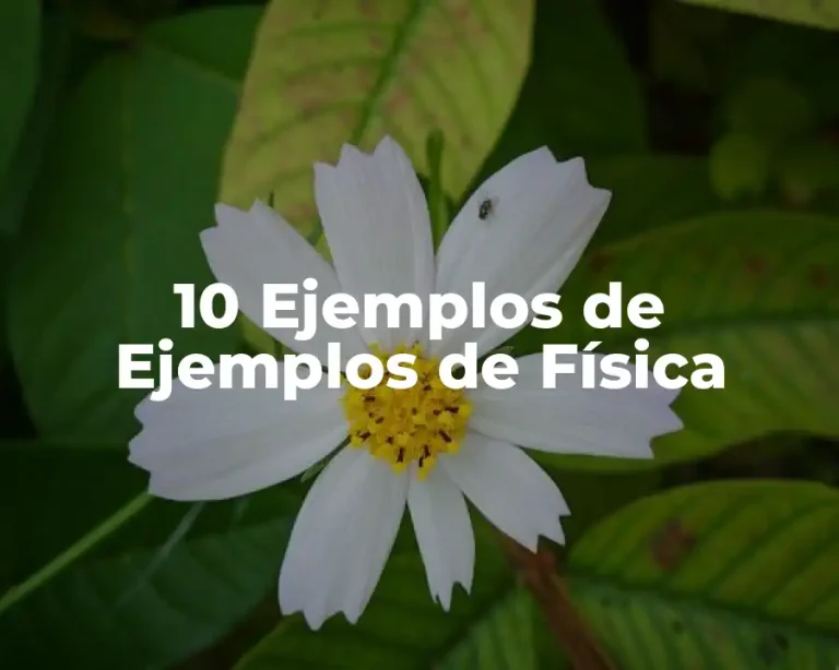 10 Ejemplos de Ejemplos de Física