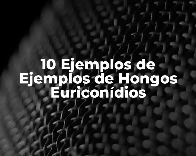 10 Ejemplos de Ejemplos de Hongos Euriconídios