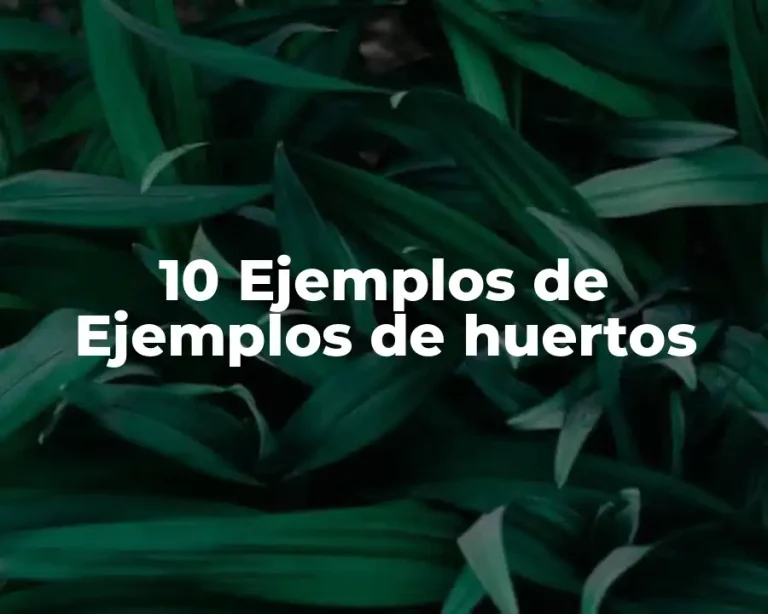 10 Ejemplos de Ejemplos de huertos