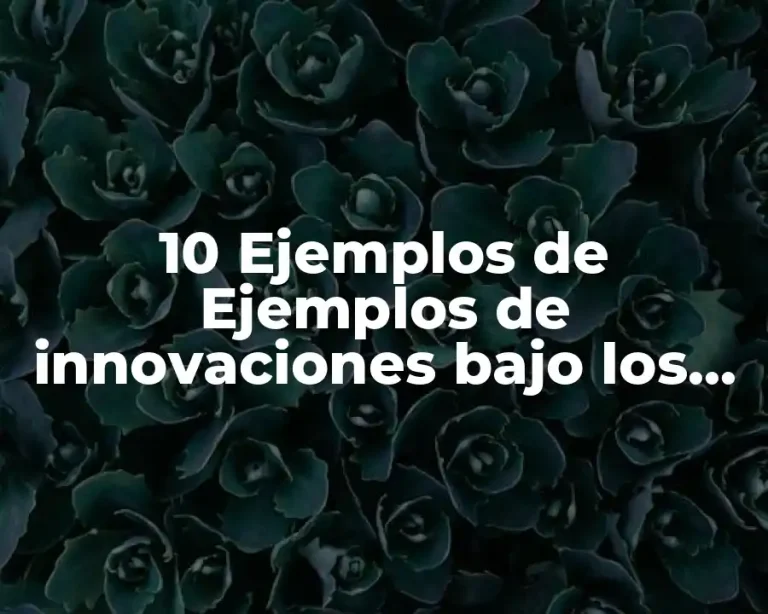10 Ejemplos de Ejemplos de innovaciones bajo los lineamientos del desarrollo sustentable
