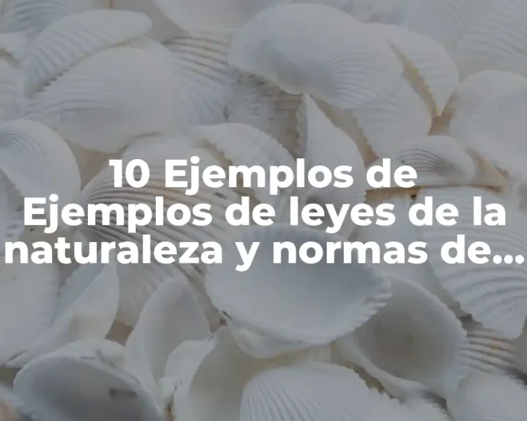 10 Ejemplos de Ejemplos de leyes de la naturaleza y normas de conducta