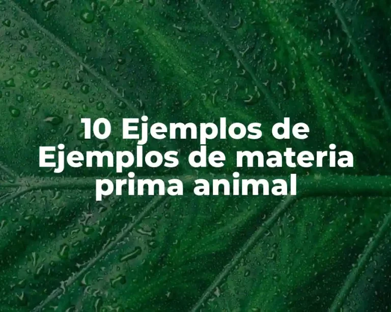 10 Ejemplos de Ejemplos de materia prima animal