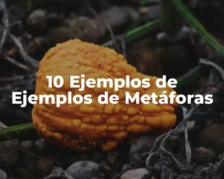 10 Ejemplos de Ejemplos de Metáforas