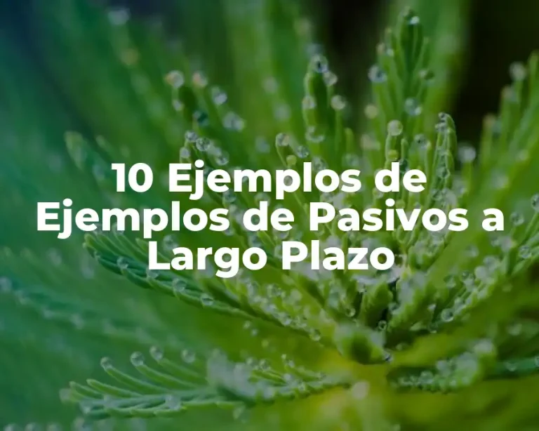 10 Ejemplos de Ejemplos de Pasivos a Largo Plazo