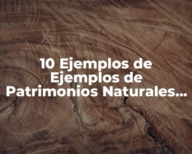 10 Ejemplos de Ejemplos de Patrimonios Naturales del Estado de México