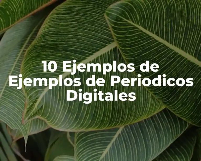 10 Ejemplos de Ejemplos de Periodicos Digitales