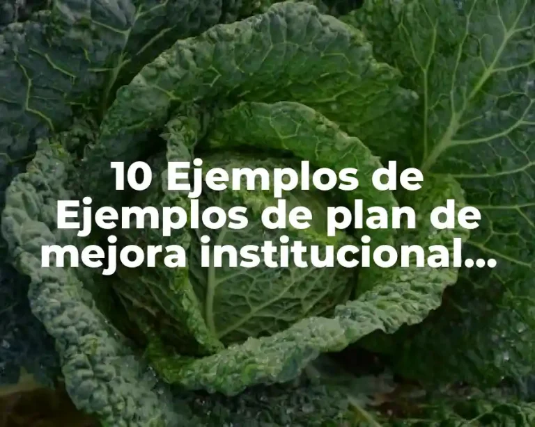 10 Ejemplos de Ejemplos de plan de mejora institucional para nivel inicial