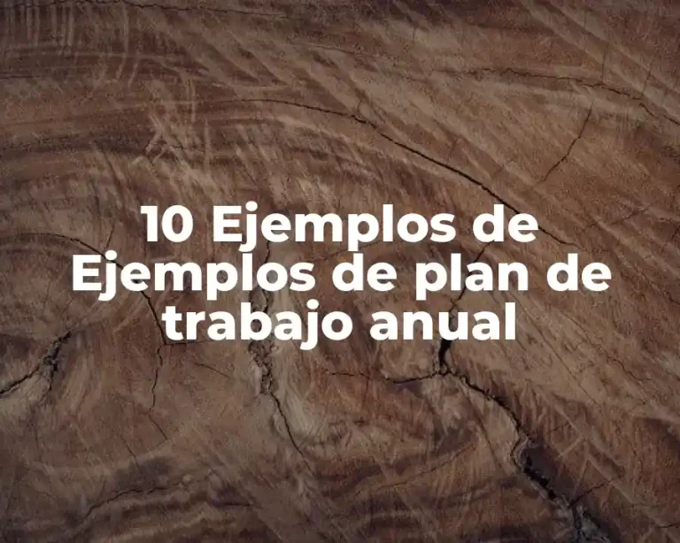10 Ejemplos de Ejemplos de plan de trabajo anual