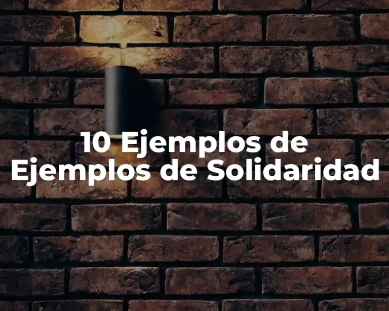 10 Ejemplos de Ejemplos de Solidaridad