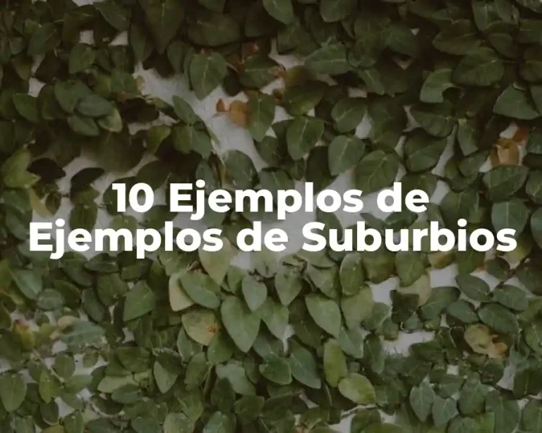 10 Ejemplos de Ejemplos de Suburbios