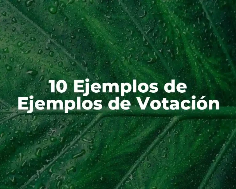 10 Ejemplos de Ejemplos de Votación