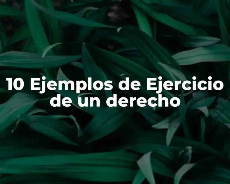 10 Ejemplos de Ejercicio de un derecho