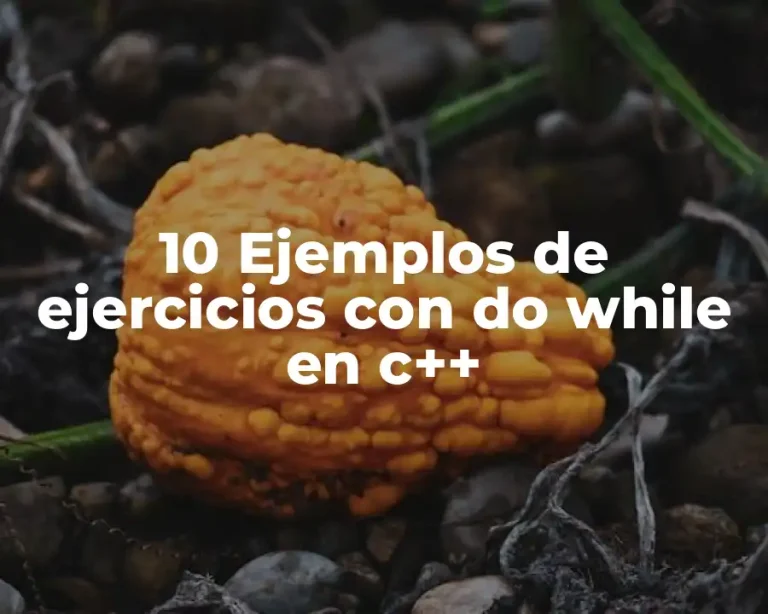 10 Ejemplos de ejercicios con do while en c++